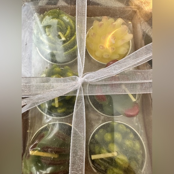 NWT - Succulent candles - Picture 4 of 4
